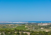 Xalet independent amb terreny en venda a la España, Sant Miquel de les Salines, ref.: TR243710 foto