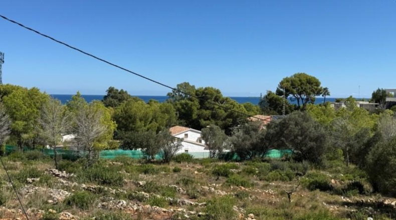 Alicante - Дения - 4259m2