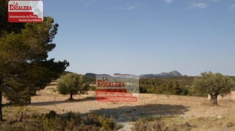 Alicante - Castalla - 884049m2