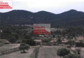 Non-developable land for sale on España, Castalla, ref: TR115731 photo