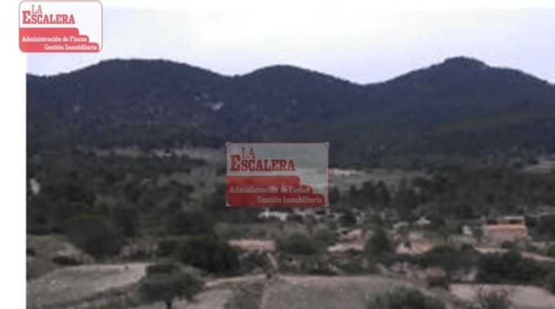 Alicante - Castalla - 884049m2