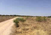 Parcela urbanizable en venta en la España, Fresno de Torote, ref: TR126672 foto