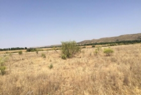Fresno de Torote 26236&nbsp;м²