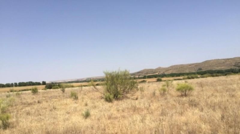 Comunidad de Madrid - Fresno de Torote - 26236m2