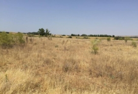 Fresno de Torote 26236&nbsp;м²