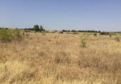 Parcela urbanizable en venta en la España, Fresno de Torote, ref: TR126672 foto