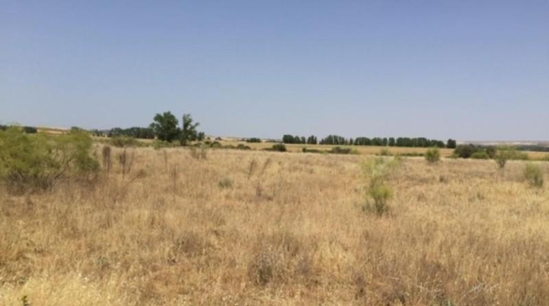Comunidad de Madrid - Fresno de Torote - 26236m2