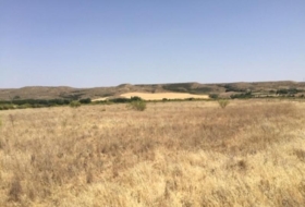 Fresno de Torote 26236&nbsp;м²