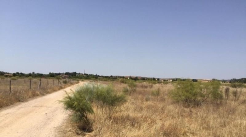 Comunidad de Madrid - Fresno de Torote - 26236m2