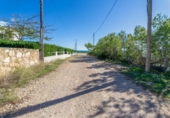 Отдельно стоящий дом с участком на продажу в городе l'Ametlla de Mar Фото