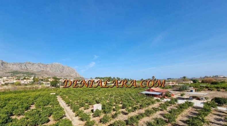 Alicante - Beniarbeig - 40000m2