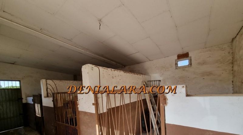Alicante - Beniarbeig - 40000m2