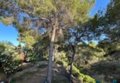 Xalet independent amb terreny en venda a la España, la Nucia, ref.: TR264030 foto