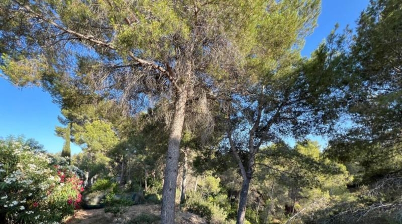 Alicante - La Nucía - 457m2
