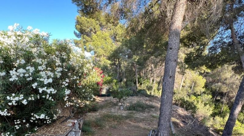 Alicante - La Nucía - 457m2
