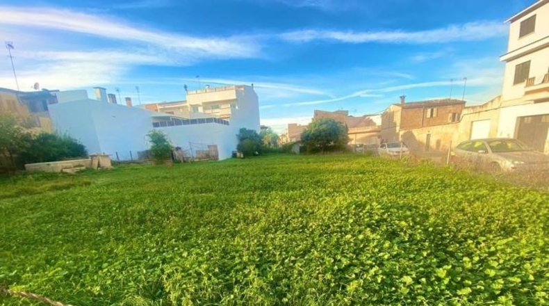 Balearic Islands - Santa Margarita - 3721m2