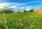 Urban land for sale on España, Santa Margalida, ref: TR119781 photo