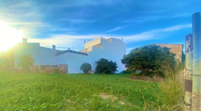 Balearic Islands - Santa Margarita - 3721m2