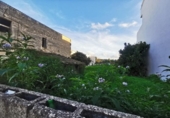 Urban land for sale on España, Santa Margalida, ref: TR119781 photo