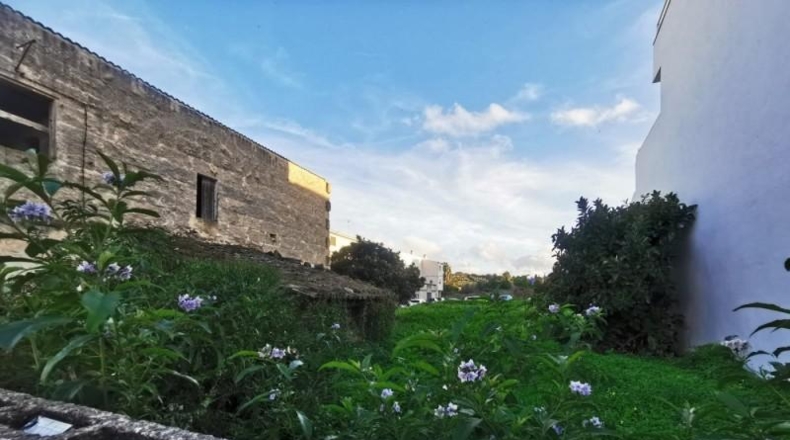 Balearic Islands - Santa Margarita - 3721m2