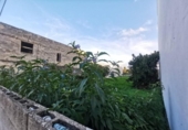 Urban land for sale on España, Santa Margalida, ref: TR119781 photo