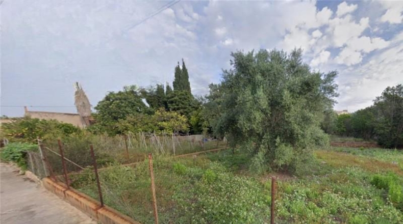 Castellón - Castellón de la Plana - 1000m2