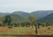 Non-developable land for sale on España, Bunyola, ref: TR114833 photo
