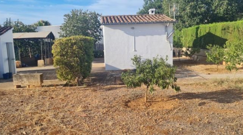 Balearic Islands - Buñola - 829m2