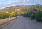Casa amb terreny en venda a la España, Bunyola, ref.: TR330671 foto