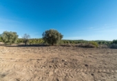 Casa amb terreny en venda a la España, el Pilar de la Foradada, ref.: TR155280 foto