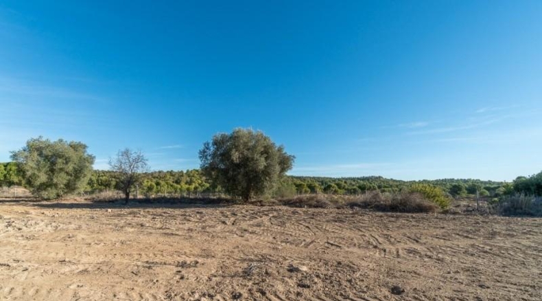 Alicante - Pilar de la Horadada - 118000m2