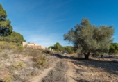 Casa amb terreny en venda a la España, el Pilar de la Foradada, ref.: TR155280 foto