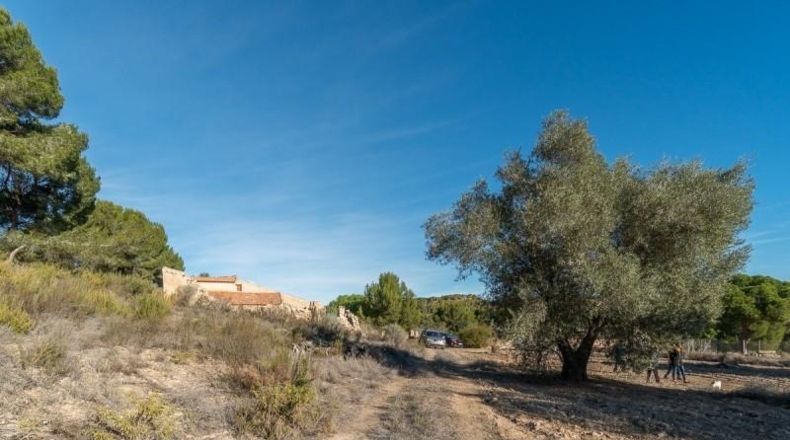 Alicante - Pilar de la Horadada - 118000m2
