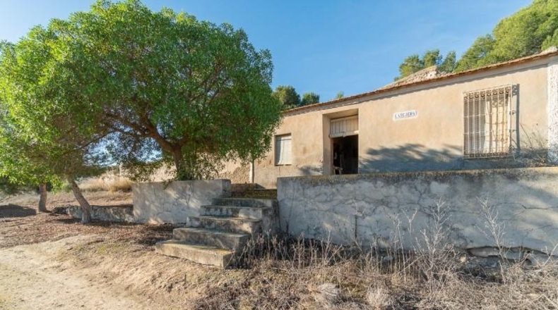 Alicante - Pilar de la Horadada - 118000m2