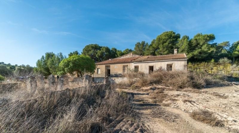 Alicante - Pilar de la Horadada - 118000m2