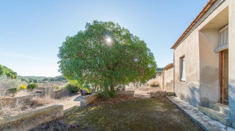 Alicante - Pilar de la Horadada - 118000m2