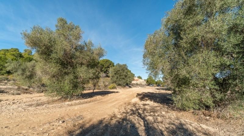 Alicante - Pilar de la Horadada - 118000m2