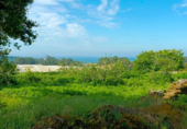 Land suitable for development for sale on España, Sanxenxo, ref: TR117964 photo