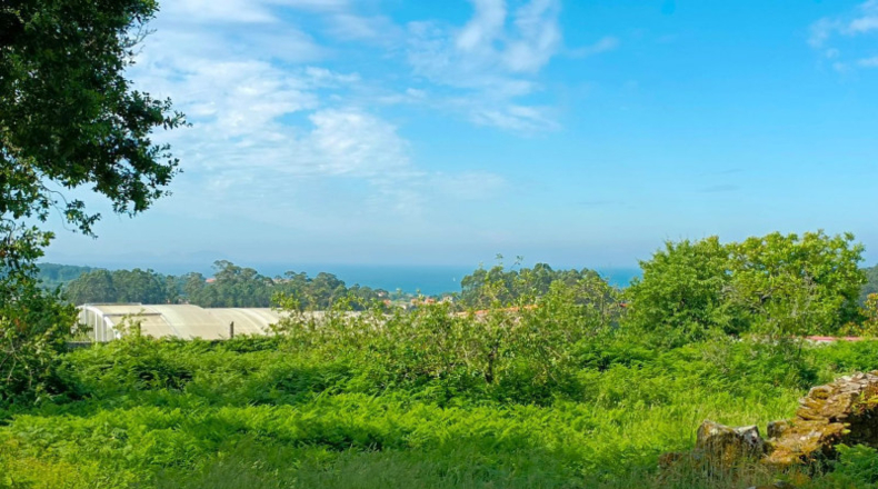 Pontevedra - Sanxenxo - 3494m2