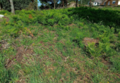 Land suitable for development for sale on España, Sanxenxo, ref: TR117964 photo