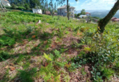 Land suitable for development for sale on España, Sanxenxo, ref: TR117964 photo