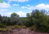 Xalet independent amb terreny en venda a la España, Sencelles, ref.: TR337125 foto