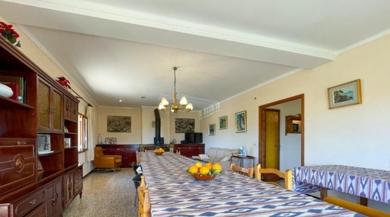 Islas Baleares - Selva - 17704m2