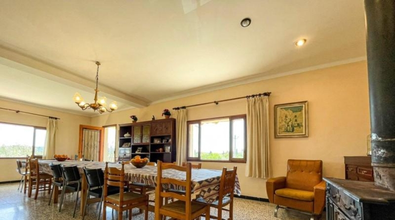 Islas Baleares - Selva - 17704m2