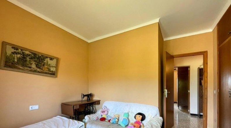 Islas Baleares - Selva - 17704m2