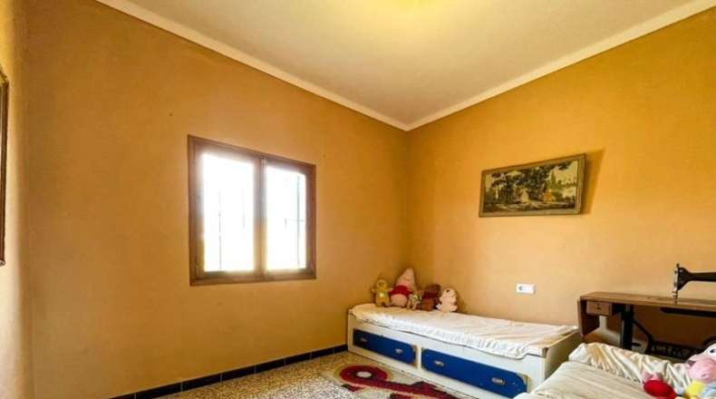 Islas Baleares - Selva - 17704m2