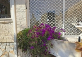 Chalet independiente con terreno en venta en la España, Orihuela, ref: TR224444 foto