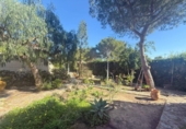 Chalet independiente con terreno en venta en la España, Orihuela, ref: TR224444 foto