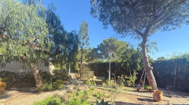 Alicante - Dehesa de Campoamor - 1250m2