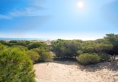 Xalet independent amb terreny en venda a la España, la Marina, ref.: TR319811 foto